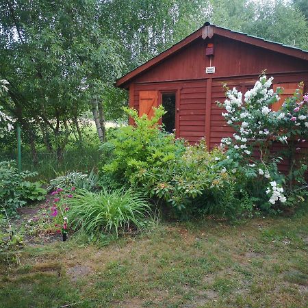 Domki Domek Na Jeziorem Wilczynskim Budzislawskim , Las, Osobno Ogrodzony 2-6 Osob- Klimatyzacja, Ogrzewanie, 62-550 Zygmuntowo Gm Wilczyn Bagian luar foto