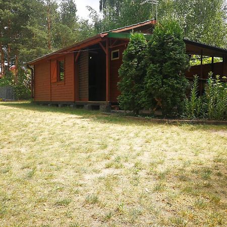 Domki Domek Na Jeziorem Wilczynskim Budzislawskim , Las, Osobno Ogrodzony 2-6 Osob- Klimatyzacja, Ogrzewanie, 62-550 Zygmuntowo Gm Wilczyn Bagian luar foto