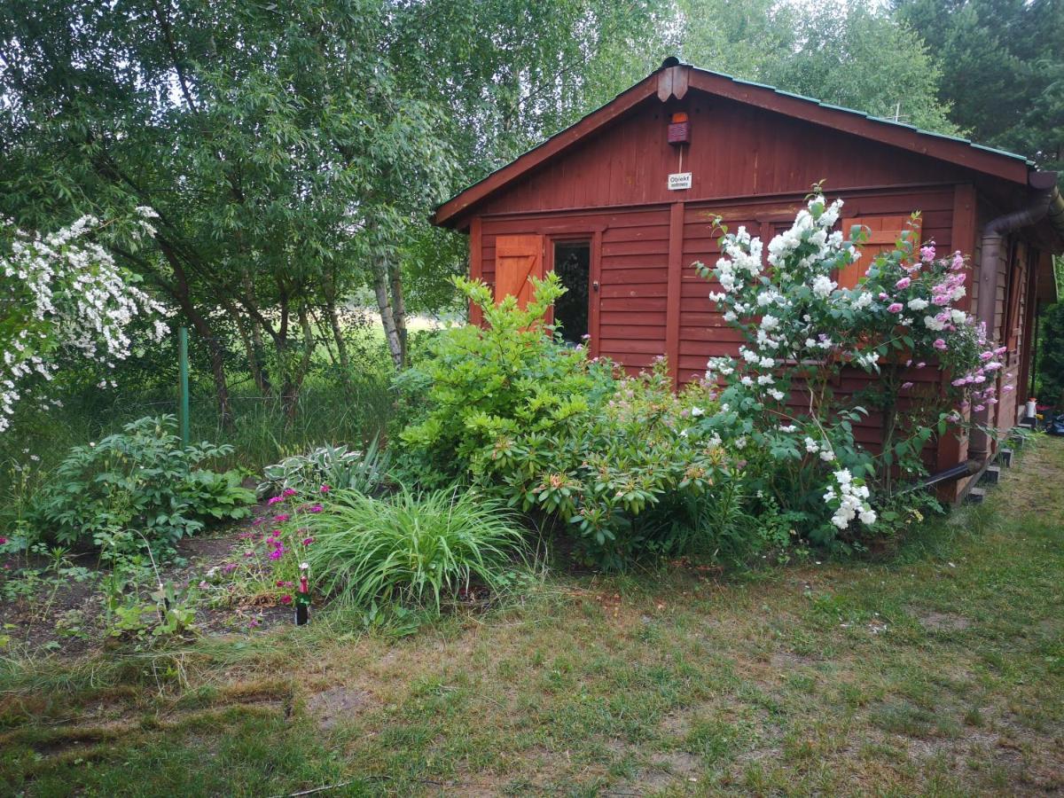 Domki Domek Na Jeziorem Wilczynskim Budzislawskim , Las, Osobno Ogrodzony 2-6 Osob- Klimatyzacja, Ogrzewanie, 62-550 Zygmuntowo Gm Wilczyn Bagian luar foto