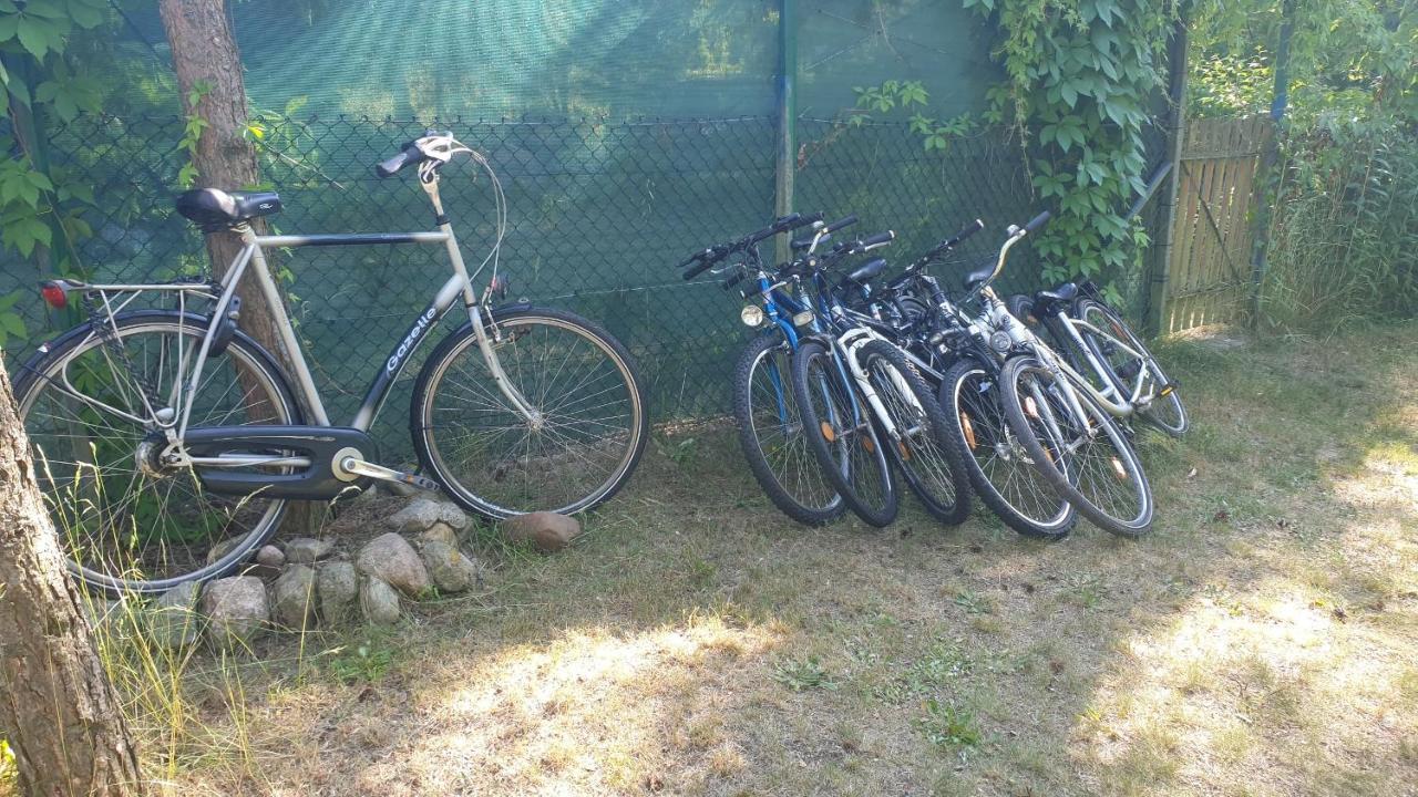 Domki Domek Na Jeziorem Wilczynskim Budzislawskim , Las, Osobno Ogrodzony 2-6 Osob- Klimatyzacja, Ogrzewanie, 62-550 Zygmuntowo Gm Wilczyn Bagian luar foto