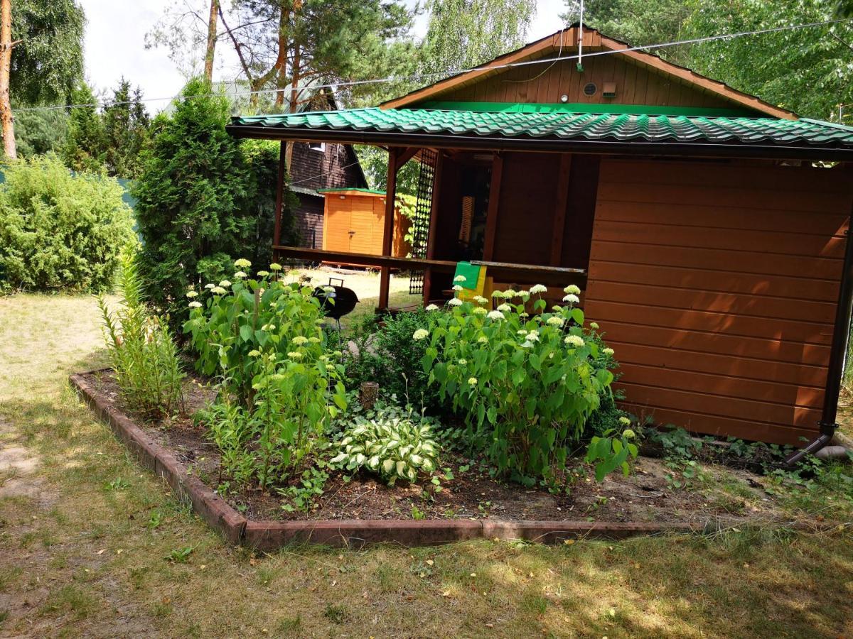 Domki Domek Na Jeziorem Wilczynskim Budzislawskim , Las, Osobno Ogrodzony 2-6 Osob- Klimatyzacja, Ogrzewanie, 62-550 Zygmuntowo Gm Wilczyn Bagian luar foto