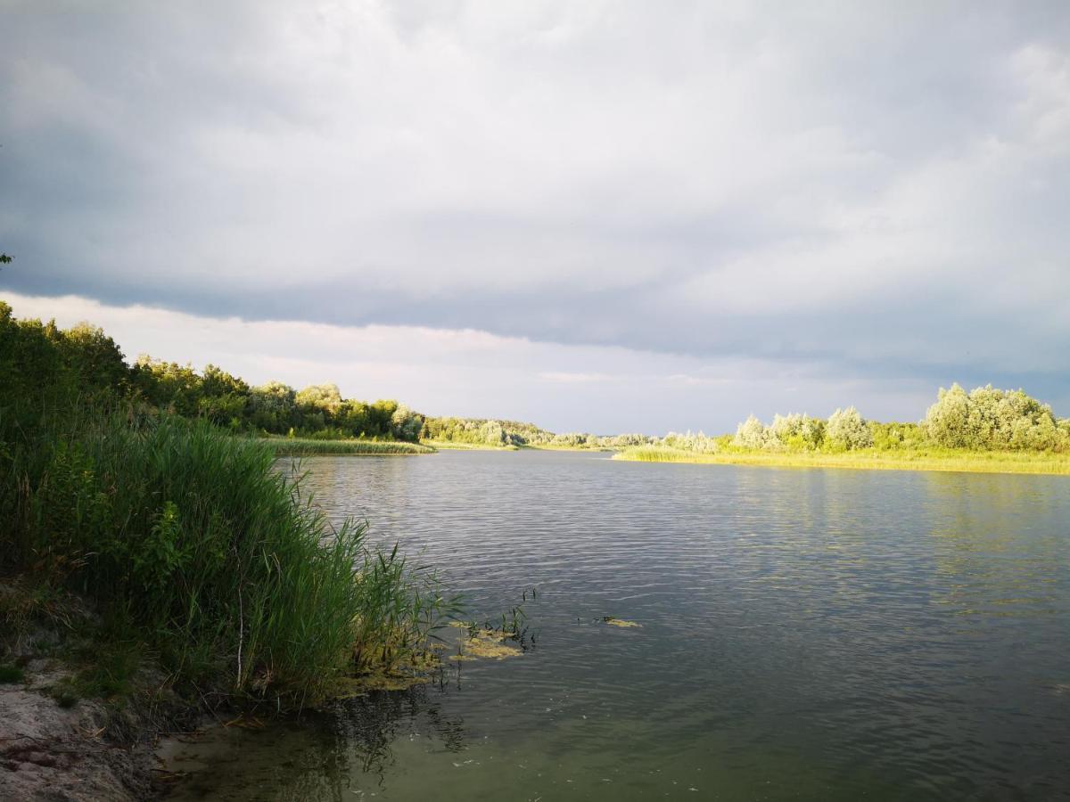 Domki Domek Na Jeziorem Wilczynskim Budzislawskim , Las, Osobno Ogrodzony 2-6 Osob- Klimatyzacja, Ogrzewanie, 62-550 Zygmuntowo Gm Wilczyn Bagian luar foto