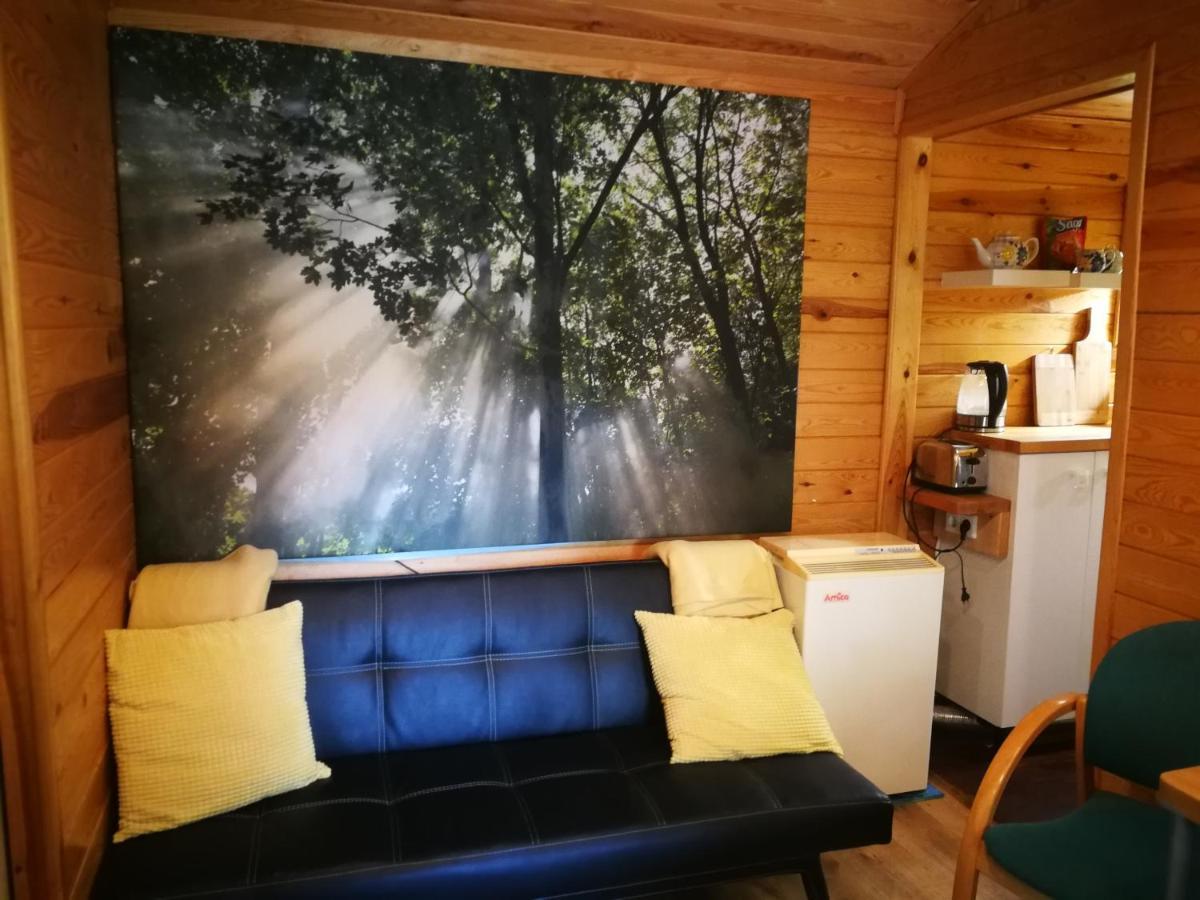 Domki Domek Na Jeziorem Wilczynskim Budzislawskim , Las, Osobno Ogrodzony 2-6 Osob- Klimatyzacja, Ogrzewanie, 62-550 Zygmuntowo Gm Wilczyn Bagian luar foto