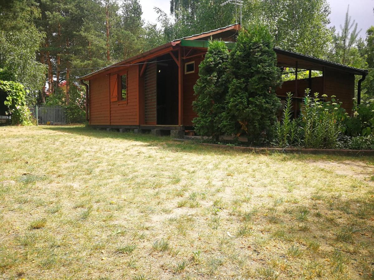 Domki Domek Na Jeziorem Wilczynskim Budzislawskim , Las, Osobno Ogrodzony 2-6 Osob- Klimatyzacja, Ogrzewanie, 62-550 Zygmuntowo Gm Wilczyn Bagian luar foto