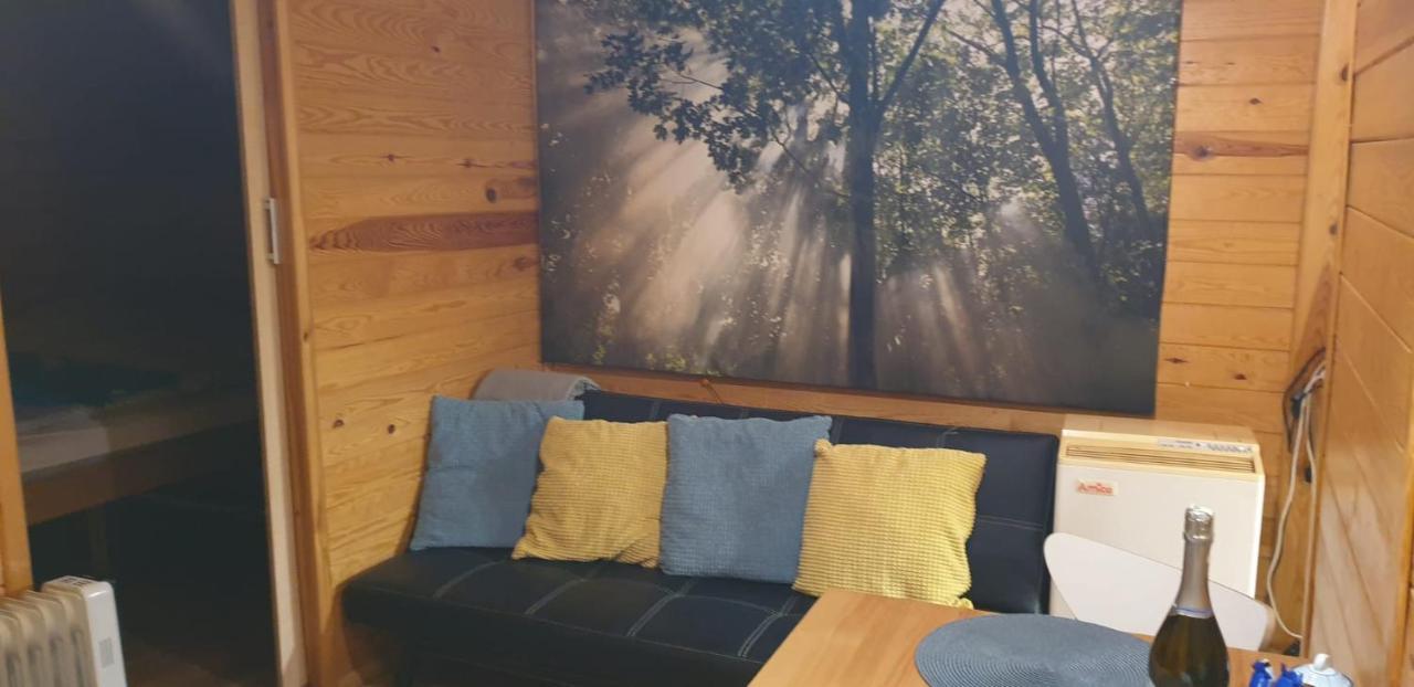 Domki Domek Na Jeziorem Wilczynskim Budzislawskim , Las, Osobno Ogrodzony 2-6 Osob- Klimatyzacja, Ogrzewanie, 62-550 Zygmuntowo Gm Wilczyn Bagian luar foto
